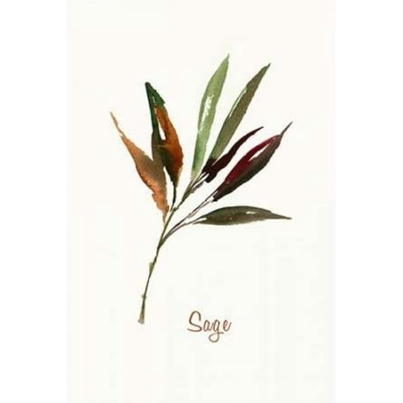 Wild Sage - Mini Poster Print by Asia Jensen (24 x 36)