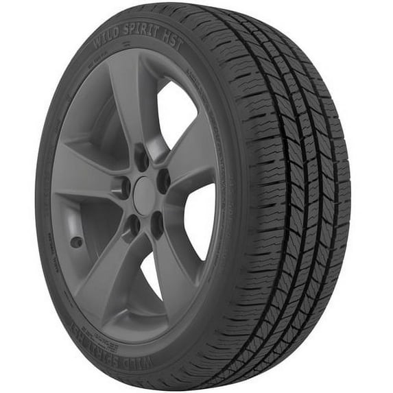 Wild Spirit HST 235/55R20 102H BSW (4 Tires) Fits: 2017-20 Cadillac XT5 Premium Luxury, 2014-17 INFINITI QX60 Hybrid