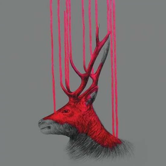 Wild Stag Canvas Art - Louise McNaught (24 x 24)