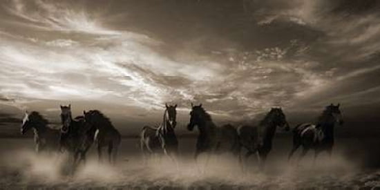 Wild Stampede Canvas Art - Malcolm Sanders (10 x 20)