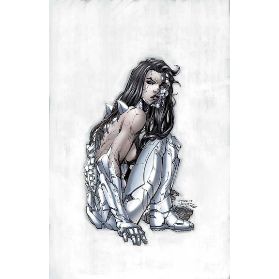 Wild Storm #1 Jim Lee Var Ed (Jim Lee Var Ed) DC Comics Comic Book