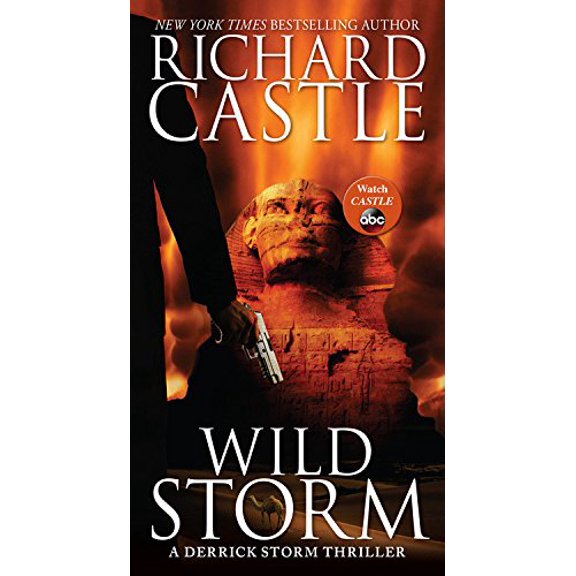 Pre-Owned Wild Storm : A Derrick Storm Thriller 9781484716380 Used