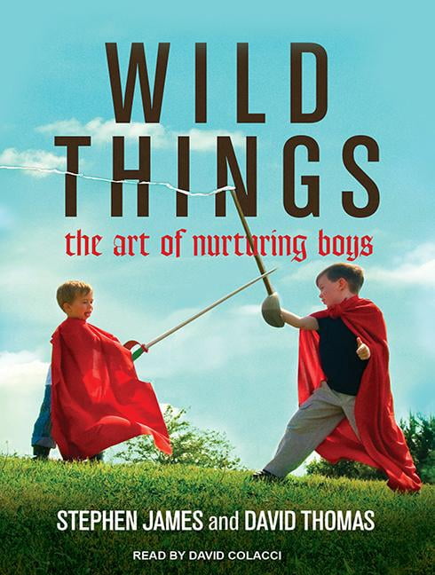 Wild Things: The Art of Nurturing Boys (Audiobook)