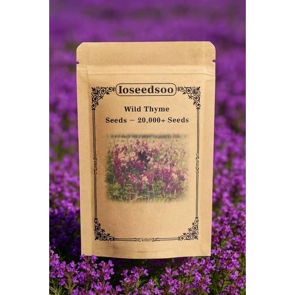 Wild Thyme Seeds  20,000+ Seeds, Perennial Ground Cover Plant for Outdoor Garden & Landscaping
