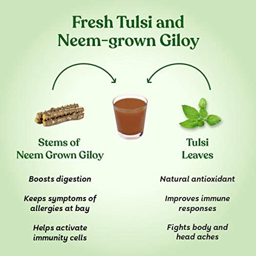 Kapiva Wild Tulsi Giloy Juice & Amla Juice Combo – 1 Liter Each, Natural Immunity & Digestion Boosters