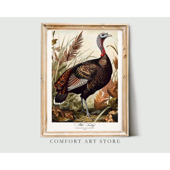 Wild Turkey Audubon Style Print, Unframed Paper Poster 16x20in