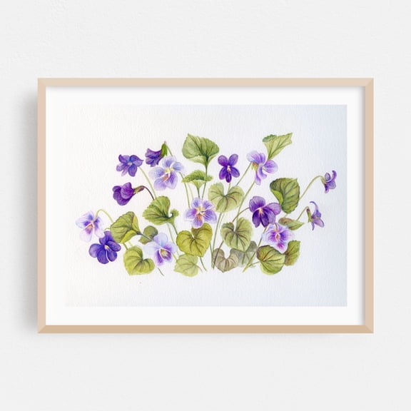Wild Violets Botanical - Illustration Floral Botanical Flowers Nature Watercolor Pastel Oak Framed Wall Art Print 5 x 7 inches