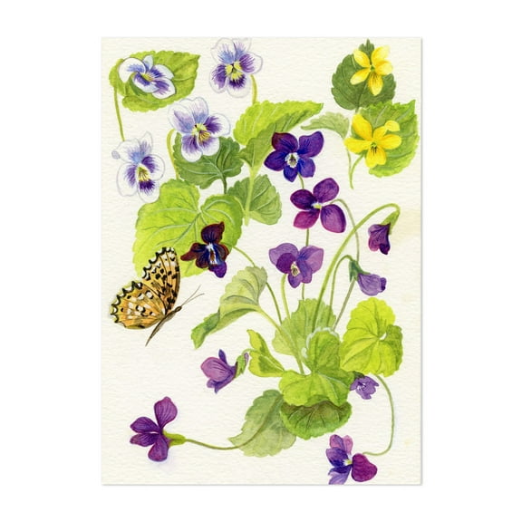 Wild Violets and Silver Bordered Fritillary Butterfly - Painting Floral Botanical Flowers Nature Wildlife Vintage Unframed Wall Art Print 4 x 6 inches