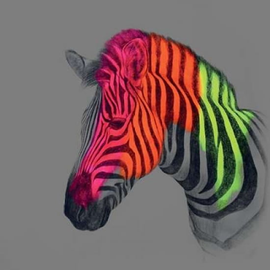 Wild Wild Horse Canvas Art - Louise McNaught (24 x 24)