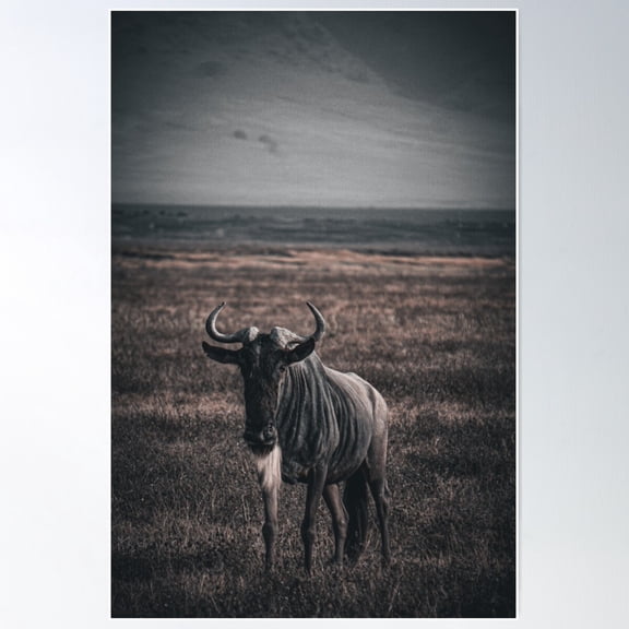 Wild Wildebeest Poster Wall Art, Modern Wall Decor For Living Room Bedroom, 24x36 UNFRAMED