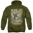 thumbnail image 1 of Wild Wings - Bucks - Pull-Over Hoodie - Large, 1 of 2