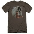 thumbnail image 1 of Wild Wings - Painted Horses - Premium Slim Fit Short Sleeve Shirt - Large, 1 of 2