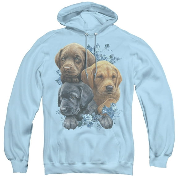 Wild Wings Puppy Pile Adult Pullover Hoodie Sweatshirt Light Blue