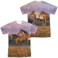 thumbnail image 1 of Wild Wings Sunset Cruise Unisex Adult Sublimated Costume T Shirt (Front/Back), 2X-Large, 1 of 2
