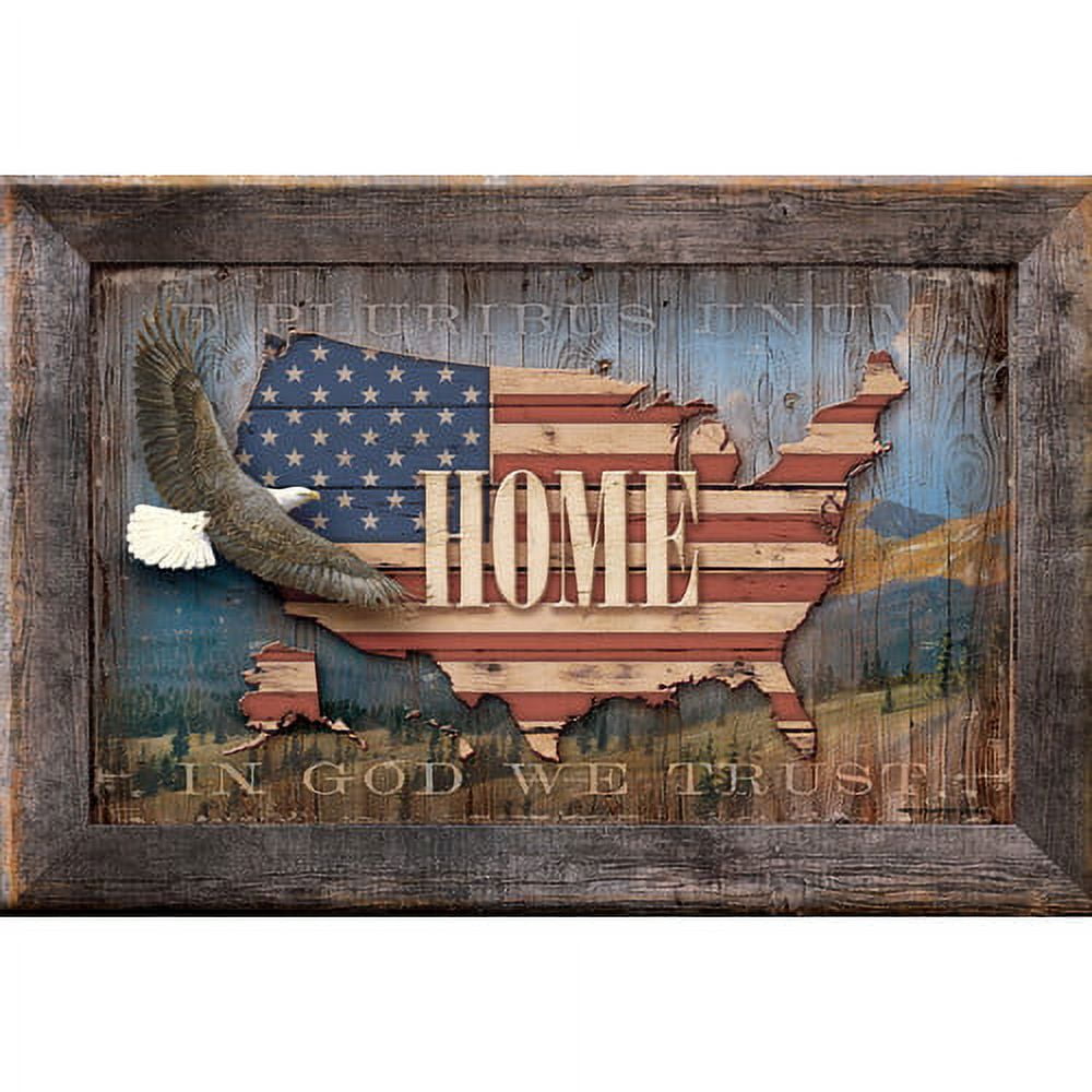 USA - Bald Eagle