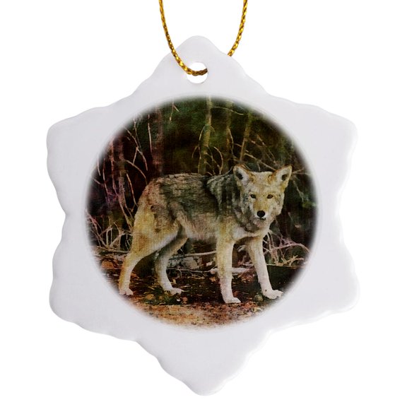 3drose, Wild Wolf Watercolor Illustration, 3 inch Snowflake Porcelain Ornament