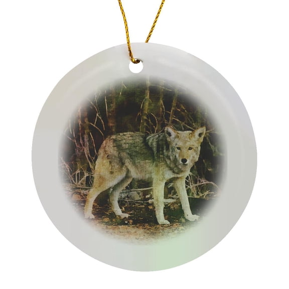 3drose, Wild Wolf Watercolor Illustration, Circle Porcelain Ornament
