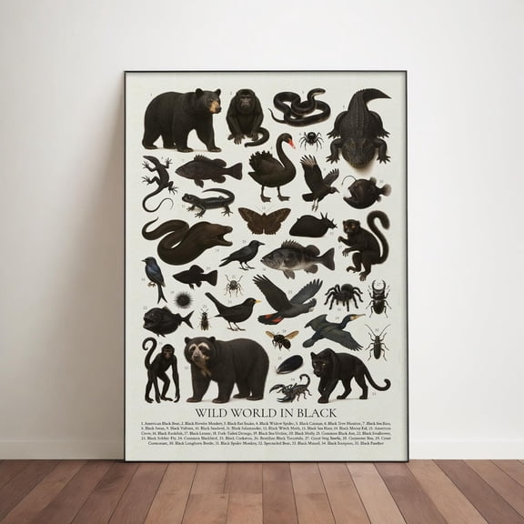 Wild World In Black Poster, Wildlife Identification Chart, Unframed Paper Poster 8x10in