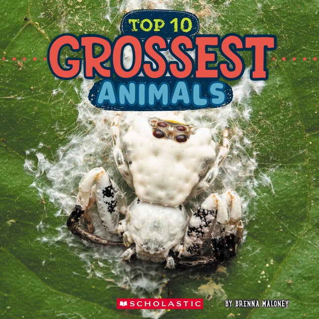 Top Ten Grossest Animals Paperback Book for Kids