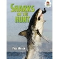 thumbnail image 1 of Wild World of Sharks: Sharks on the Hunt (Hardcover), 1 of 1
