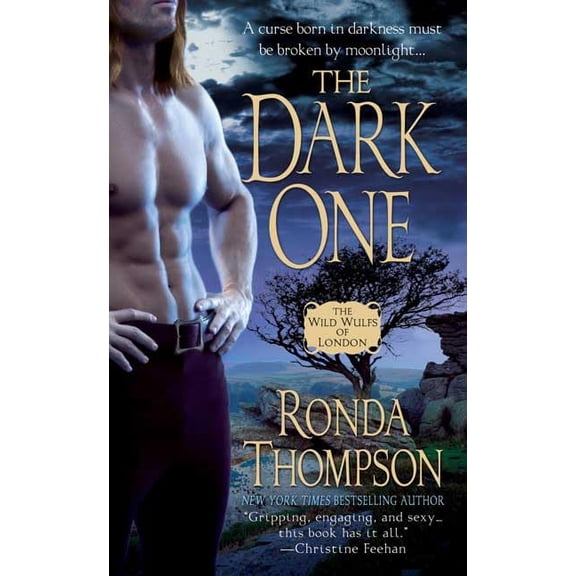 Pre-Owned The Dark One (Paperback) by Ronda Thompson