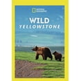 thumbnail image 1 of Wild Yellowstone (DVD), National Geographic, Special Interests, 1 of 1