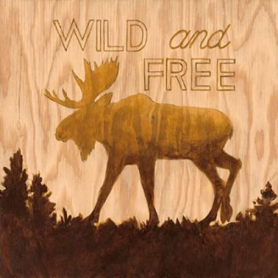 Wild and Free Canvas Art - Arnie Fisk (24 x 24)