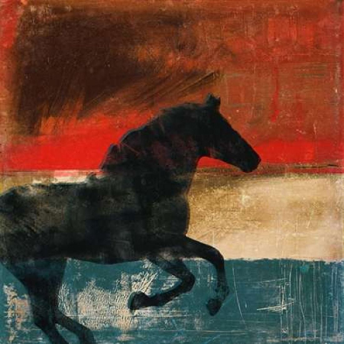 Wild and Free II Canvas Art - Dan Meneely (24 x 24)