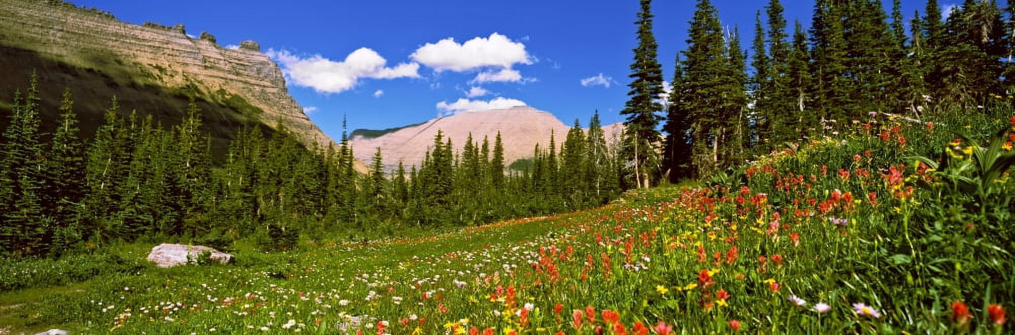 Wild flowers Iceberg Lake US Glacier National Park Montana USA Canvas Art - Panoramic Images (27 x 9)