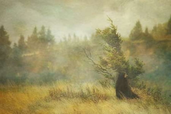 Wild for Now Canvas Art - Roberta Murray (24 x 36)