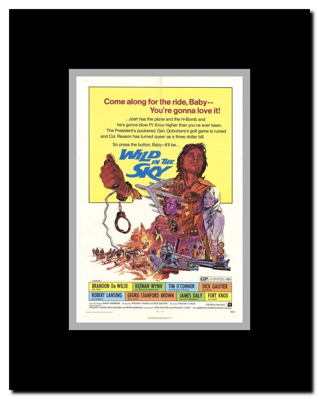 Wild in the Sky Framed Movie Poster