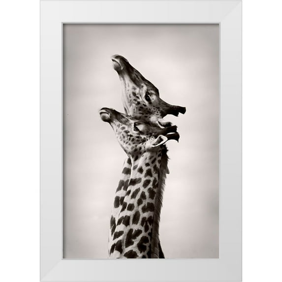WildPhotoArt 23x32 White Modern Wood Framed Museum Art Print Titled - True Love