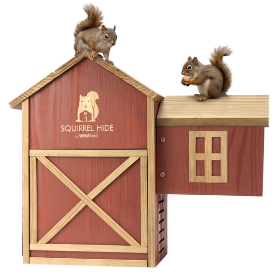 WildYard Squirrel House for Outside Cedar Squirrel House & Squirrel Feeder Combo with Ladder | Dual-Chamber Squirrel Nesting Box for Squirrels, Flying Squirrels & Chipmunks