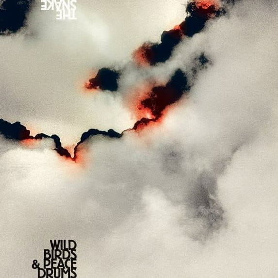 Wildbirds & Peacedrums - The Snake - Music & Performance - CD