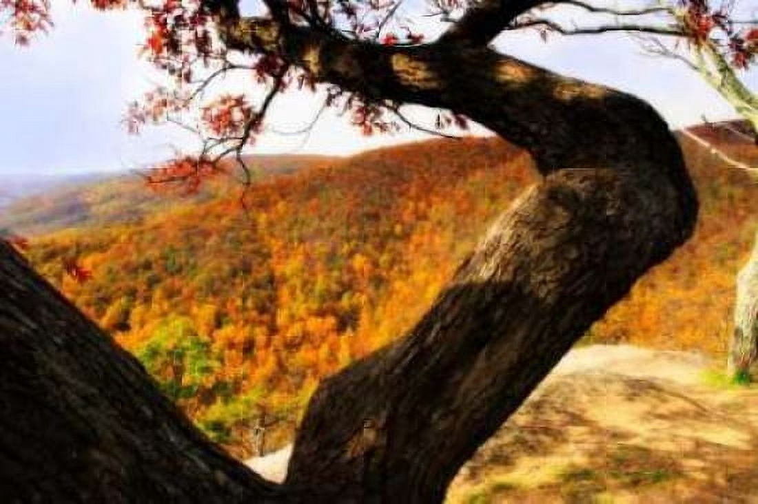 Wildcat Ridge I Canvas Art - Alan Hausenflock (20 x 28)