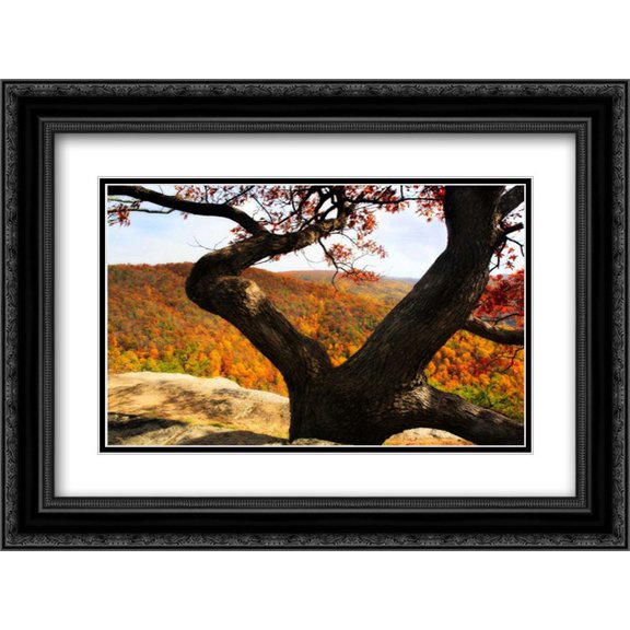 Wildcat Ridge II 2x Matted 24x18 Black Ornate Framed Art Print by Hausenflock, Alan