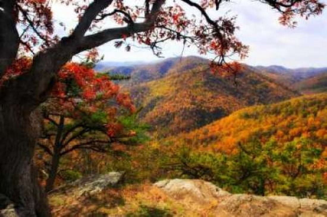 Wildcat Ridge III Canvas Art - Alan Hausenflock (20 x 28)