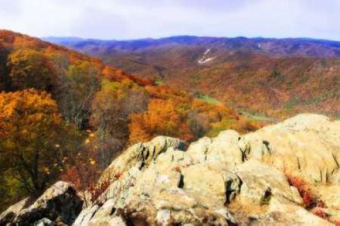 Wildcat Ridge IV Canvas Art - Alan Hausenflock (20 x 28)