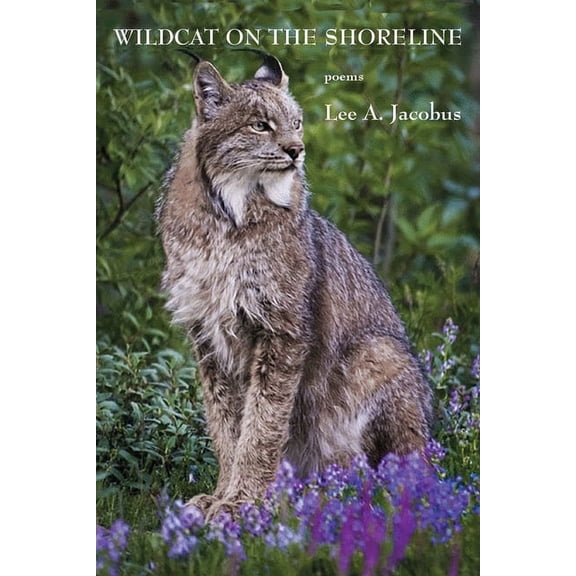 Wildcat on the Shoreline, (Paperback)
