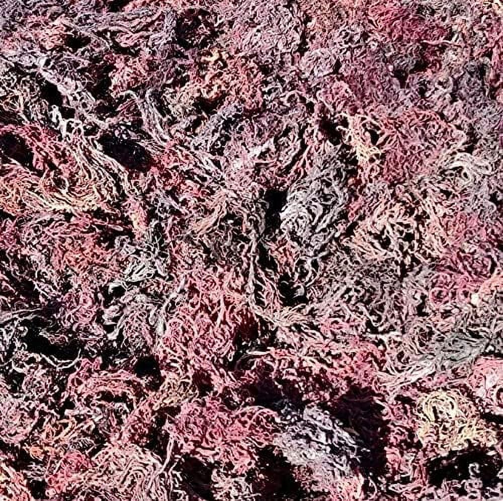 Wildcrafted Sea Moss Purple Green Mixed 100 Natural Irish Moss from St.Lucia