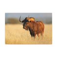 thumbnail image 1 of Wildebeest Hunting Wildebeest on Hunt Print Animal Wall Art Wildlife Canvas Prints Wall Art Ready to Hang Unframed, 1 of 18