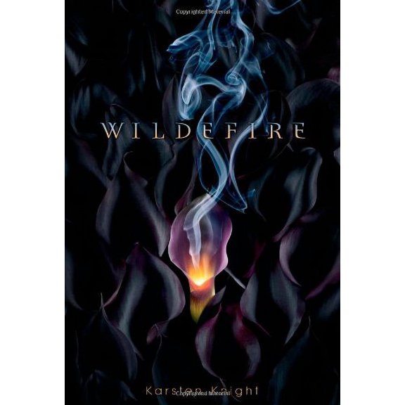 Pre-Owned Wildefire (Hardcover) 1442421177 9781442421172