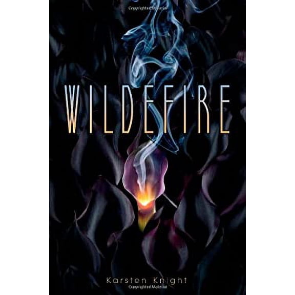 Pre-Owned Wildefire (Paperback) 1442421185 9781442421189