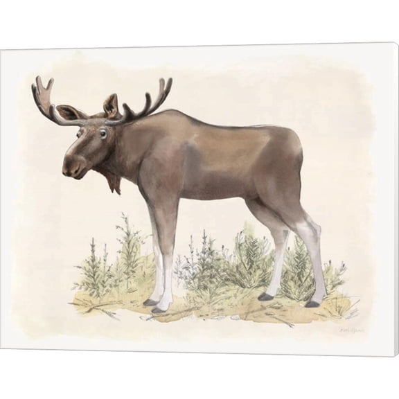 Wilderness Collection Moose by Beth Grove, Canvas Wall Art, 20W x 16H