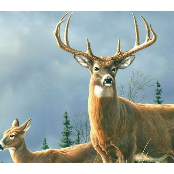 Wilderness Plush Deer Throw Blanket, 50"x60"