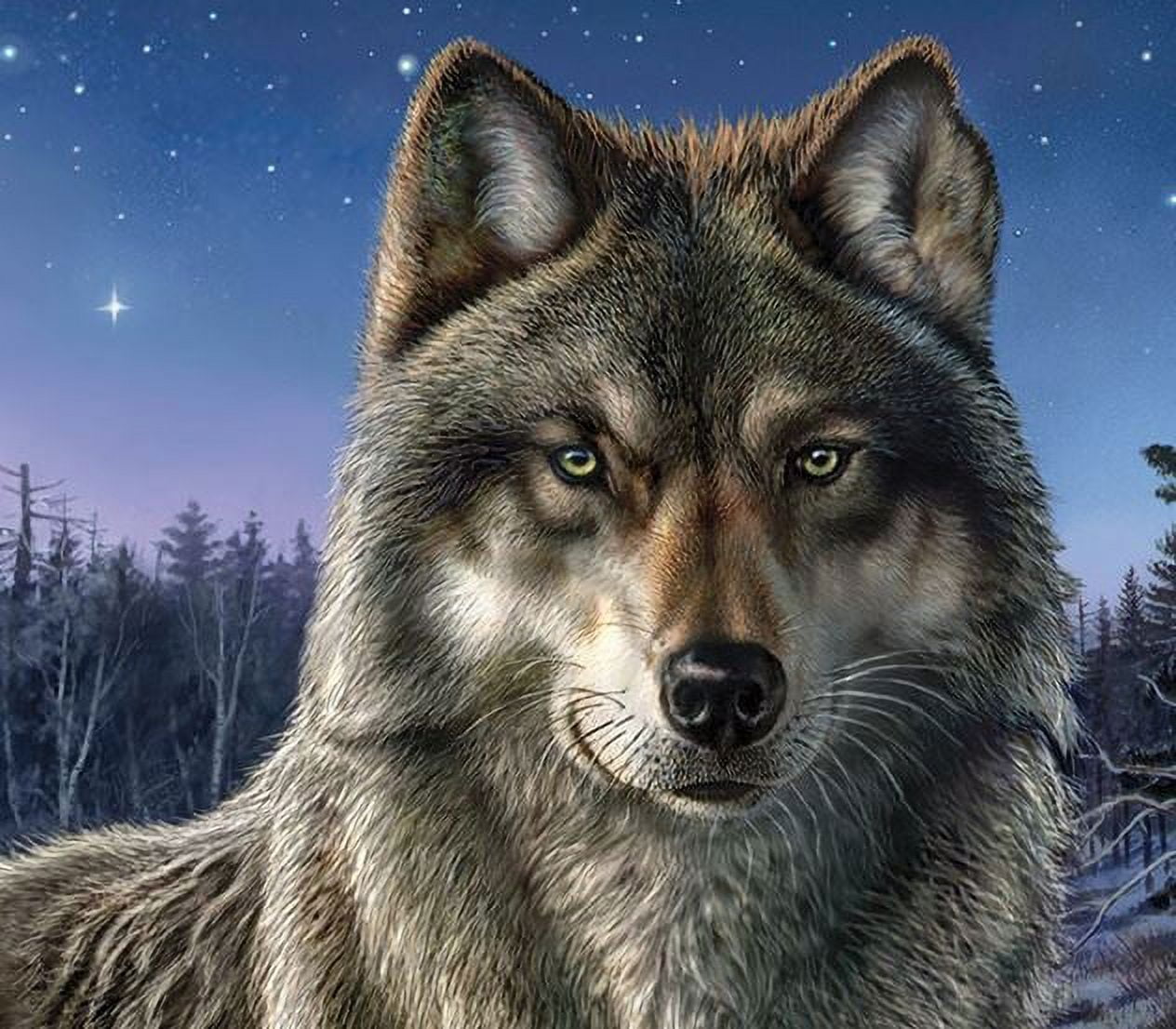 Wilderness Plush Lone Wolf Throw, 50 inchx60 inch, Size: 50 x 60