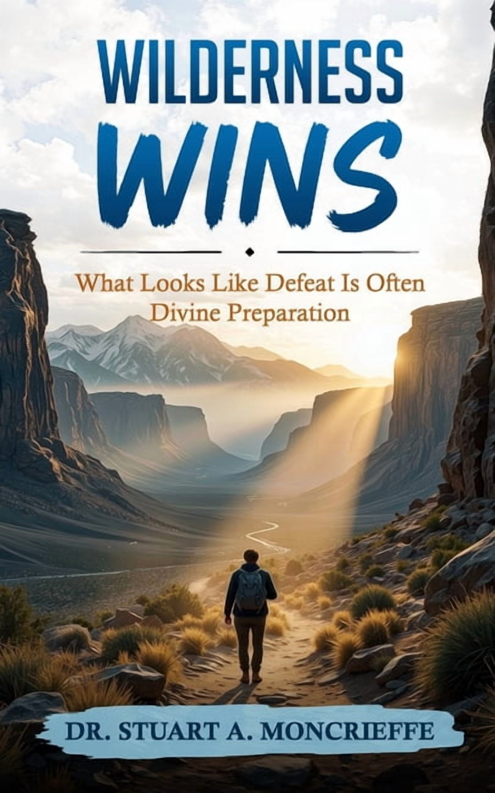 Wilderness Wins: What Looks Like Defeat Is Often Divine Preparation, (Paperback)