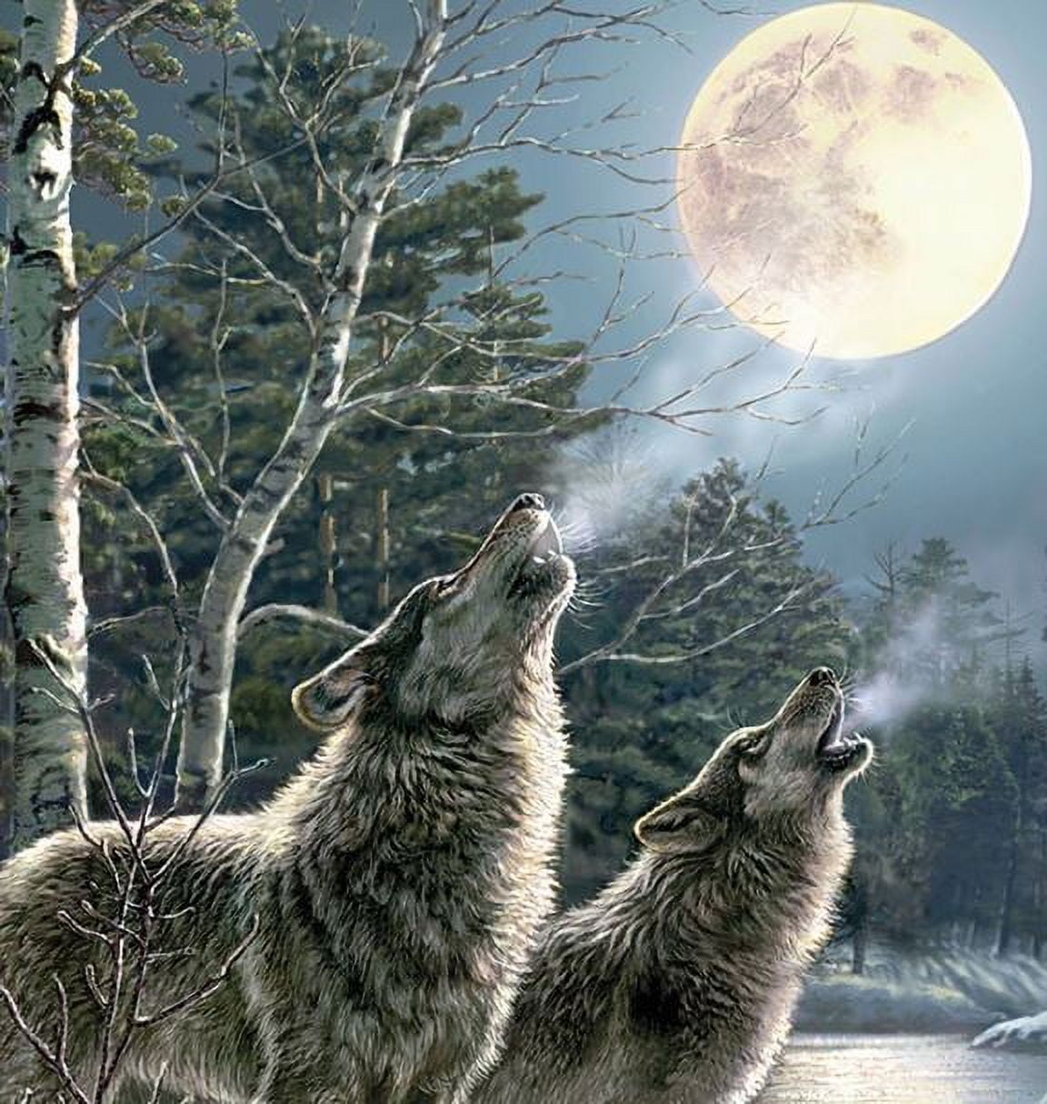 Wilderness Wolf Pack Throw Blanket, Multicolor, Standard Throw