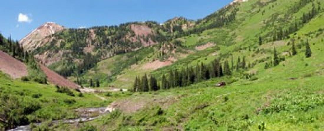 Wilderness area and Snake River Crested Butte Colorado USA Canvas Art - Panoramic Images (15 x 6)