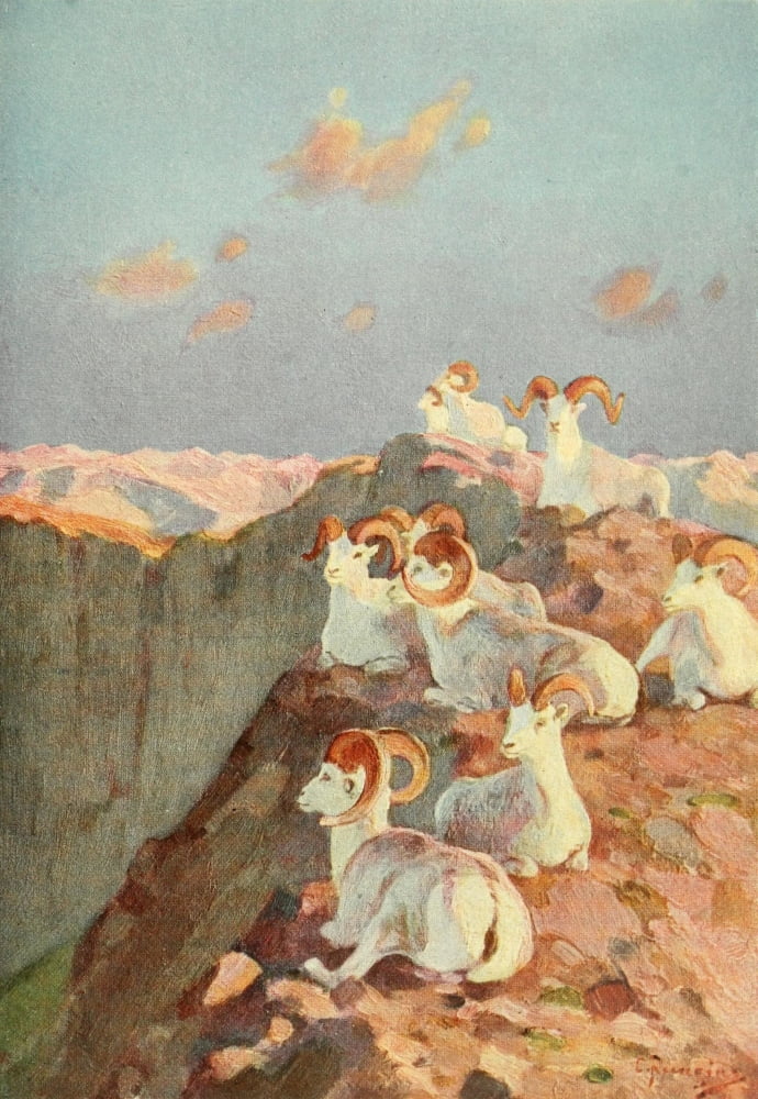 Wilderness of the Upper Yukon 1919 On the Precipice Canvas Art - Carl Rungius (18 x 24)